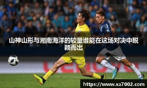 xcsport体育